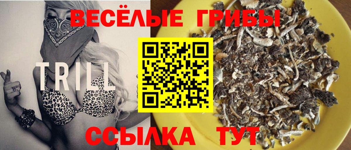 закладка  Вход с VPN  Каменск-Шахтинский  Псилоцибиновые грибы GOLDEN TEACHER  Галлюциногенные грибы мицелий 