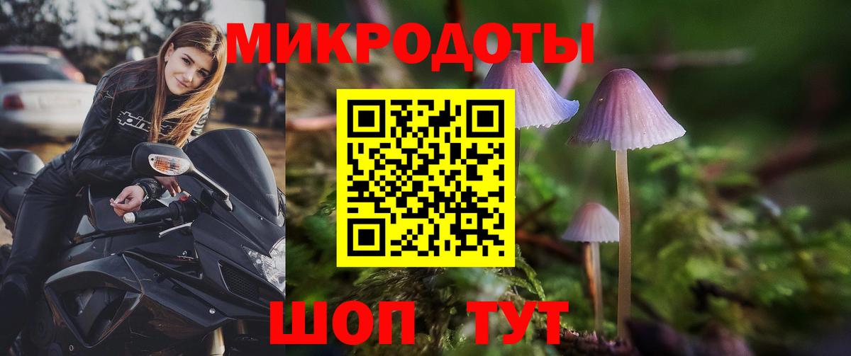 Псилоцибиновые грибы прущие грибы Каменск-Шахтинский